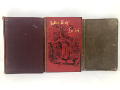 Lot of 3 Antique German Novels Books 1800s - Das Kalte Herz, Lurlie, Goldeife