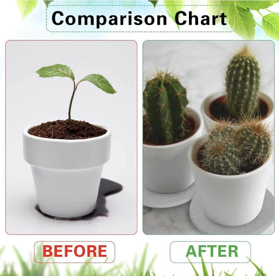 (4) Platillo redondo para plantas de diatomita, montaña rusa absorbente de agua, gris Foto 4 de 4