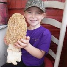 5 Pack Morel Mushroom- Garden Grow Kit- For Large Mushroom Patches - Free Ship