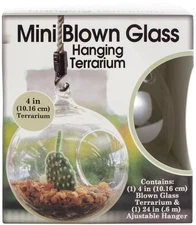 Pepperell Mini Blown Glass Hanging Terrarium-