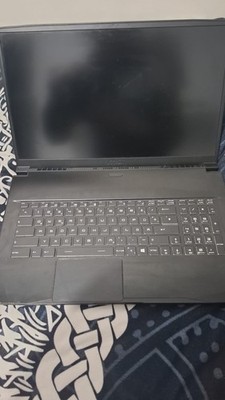 MSI GF75 Thin 10UEK 3060 Laptop GPU 6GB VRAM , 16GB DDR4, Schwarz, Leise+Zubehör