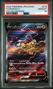 Raikou V 218/172 VSTAR Universe Special Art Rare