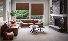 56" W X 72" H Coffee Privacy & Light Filtering Cordless Cellular Shades Window B