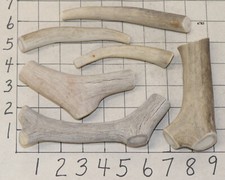 6 Deer Antler Dog Chew Treats