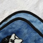 Bild 12 von 22