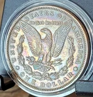 1887 Toned Morgan Silver Dolllar.