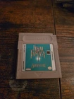 Final Fantasy Adventure Nintendo Game Boy Cartridge Untested Vintage 1991