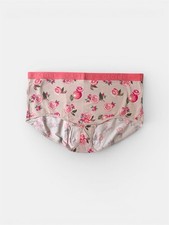 Lane Bryant Cacique Cotton Full Brief Panty Wide Waistband 22/24 Citrus Berries