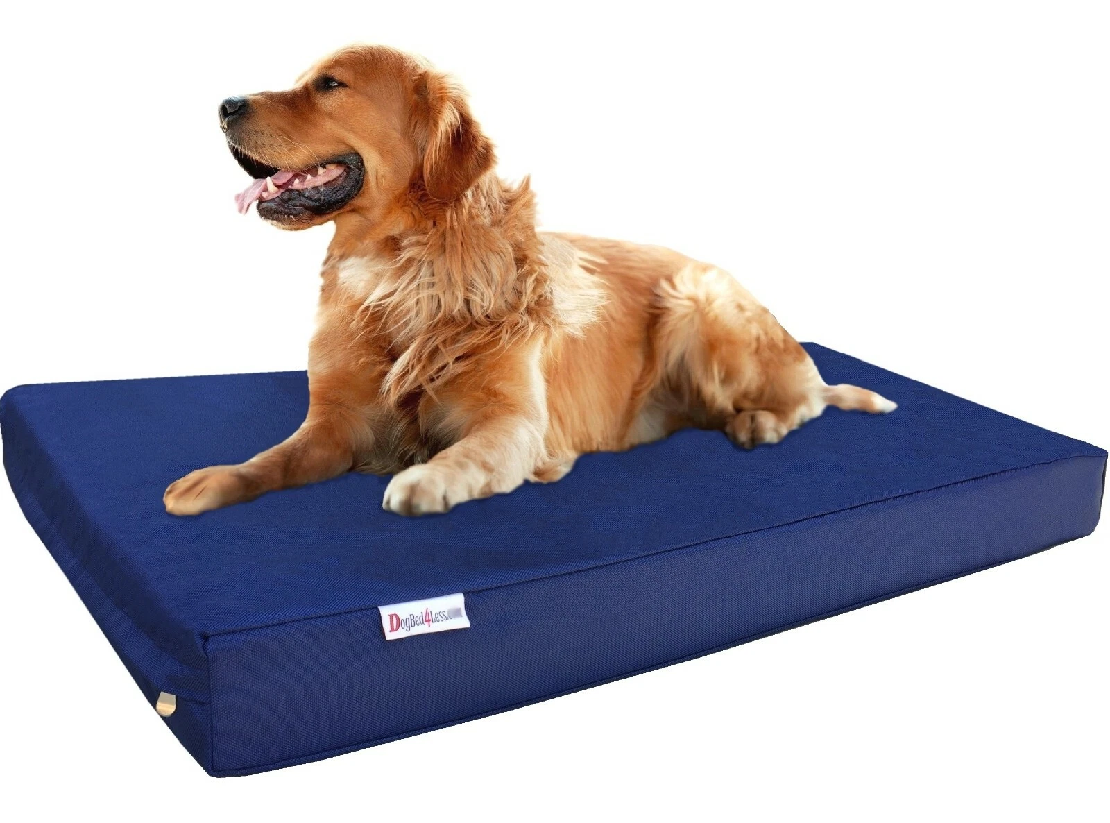 XL Extra Large Blue Nylon Pet Dog Bed Orthopedic Waterproof Memory Foam 40x35x4