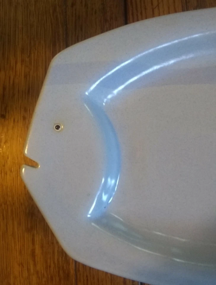 Plato grande para servir pescado azul claro Foto 2 de 4