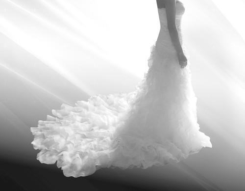 ABITO VESTITO DA SPOSA PRONOVIAS + COPRISPALLE E VELO - WEDDING DRESS | eBay