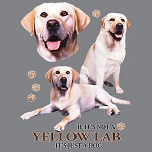 Yellow Lab Size Chart