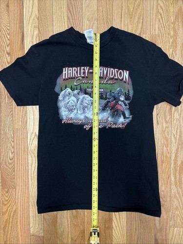 T-shirt Harley Davidson Canada Banff - Taglia Large - Foto 7 di 8