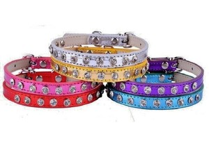 extra small cat collars