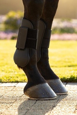 LeMieux Arika Sehnenstiefel schwarz | Klettverschluss, Beinschutz, Schlagpolster
