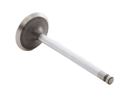 EngineTech Chrome Stem Intake Valve Pack of 1 Direct Fit