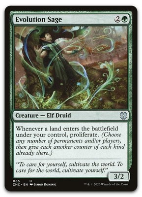 Evolution Sage #65 (NM) Zendikar Rising ZNC Magic MTG