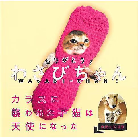 Thank you! Wasabi-chan Hardcover Book Japan Import ©