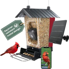 Solar Powered Smart Bird Feeder with Camera - Squirrel-Resistant, 3.2L Capacity,