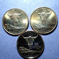 2007-P/D/S Montana Washington Clad Quarter 