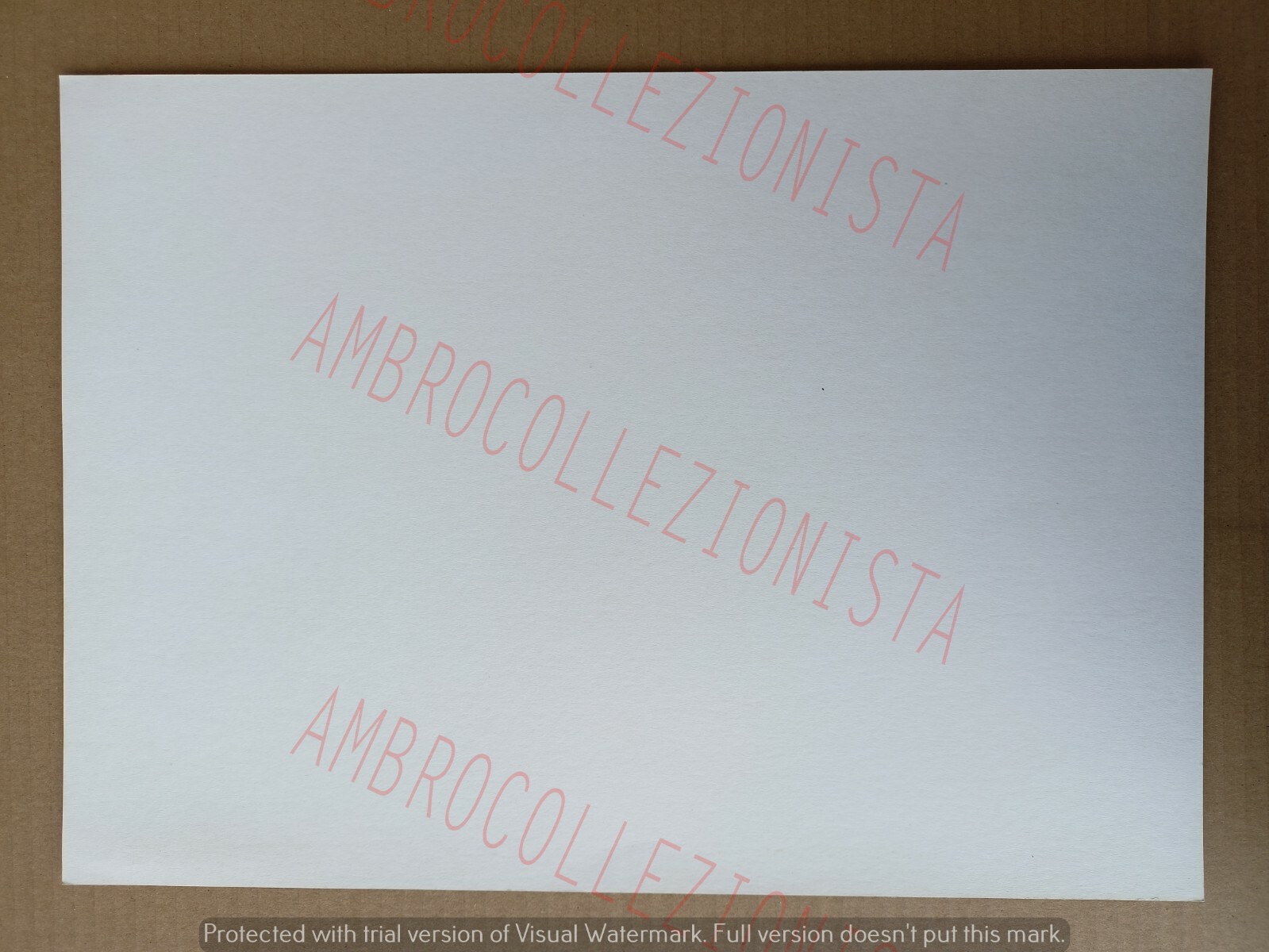 Foto 2 di 2