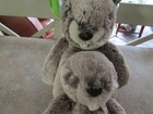 "JELLYCAT"    MOM AND BABY BASHFUL BEAVER !! PREOWNED RARE!!  PERFECTLY ADORABLE — photo 6