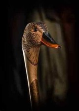 Wooden walking stick hand carved bird handmade wooden walking cane