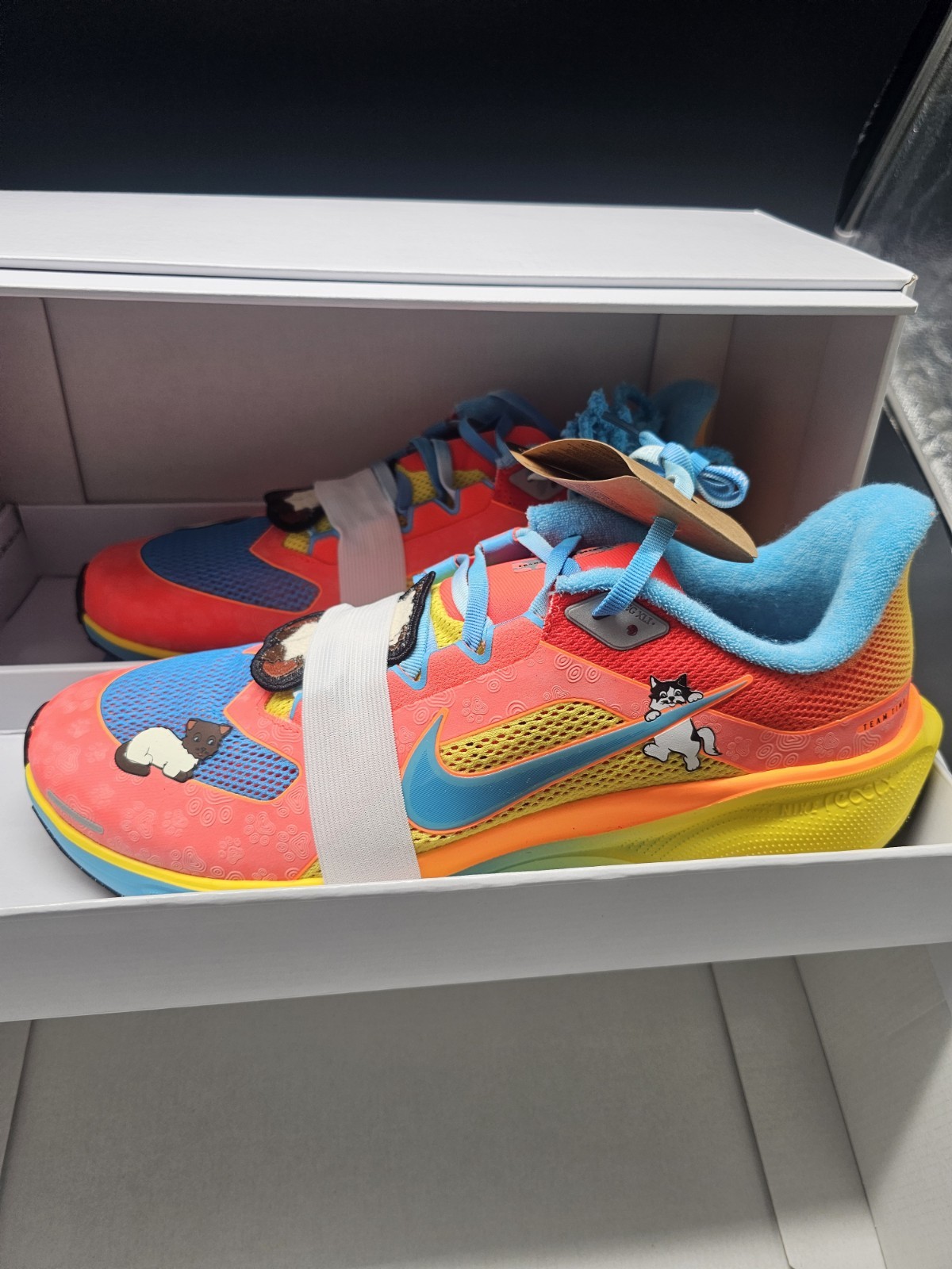 Doernbecher 20 Nike Ai Pegasus 41 Running Shoes