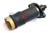 Luftfeder Fahrwerk Oyodo 40A0045-OYO FüR Audi Allroad C5 4BH A6 Avant 4B5 4B6