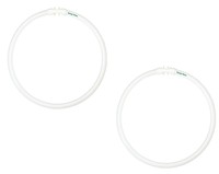 40 Watt Circline Fluorescent T5 Bulb 800 Series 3000-kelvin 2gx13 Base 12-inc... on sale 40 Watt Circline Fluorescent T5 Bulb 800 Series 3000-kelvin 2gx13 Base 12-inc... on sale