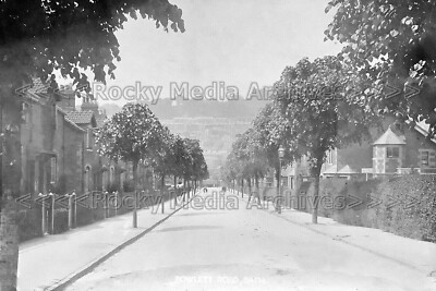 Qaa-36 Tree Lined Powlett Road, Bath, Somerset 1908. Foto