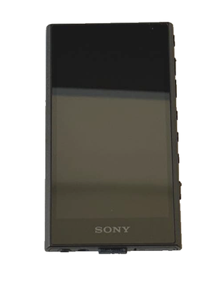 Sony Walkman NW‑A306/BTR Bocchi the Rock Collab Limited Hi‑Res