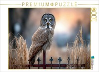 Puzzle Calvendo Une Chouette à Moustaches Sur Une ClôTure | 1000 PièCes, Format