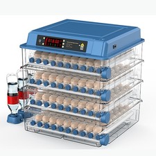Incubatrice digitale automatica 256 uova pollo pollame controllo temperatura