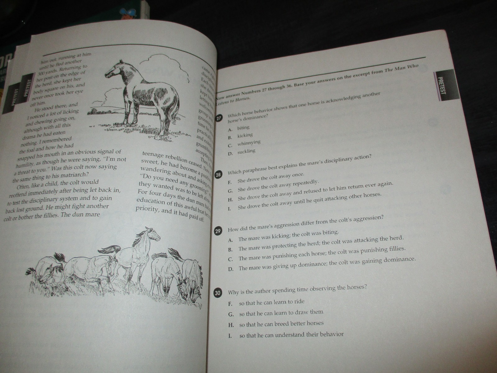 Florida Standards Based Instruction Coach Grade 9 Reading FCAT