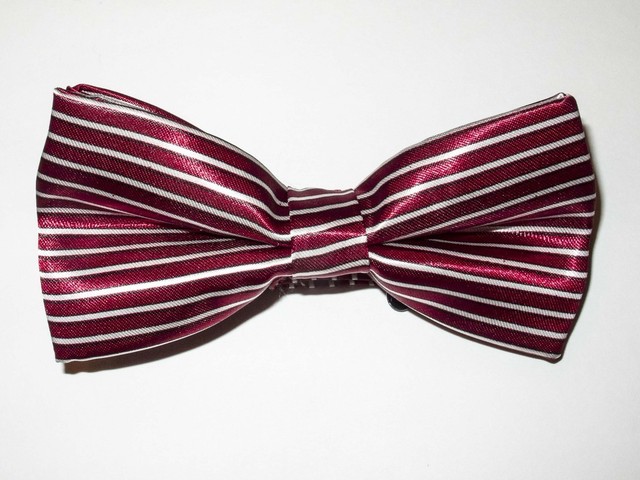 Red White Stripe Bowtie Fashion Novelty Mens Adjustable Wedding Bow Tie BTS49 CB10529 Red White Stripe Bowtie Fashion Novelty Mens Adjustable Wedding Bow Tie BTS49 CB10529