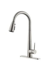 High Arc Single Handle Kitchen Sink Faucet with Deck Plate and Pull Down Sprayer