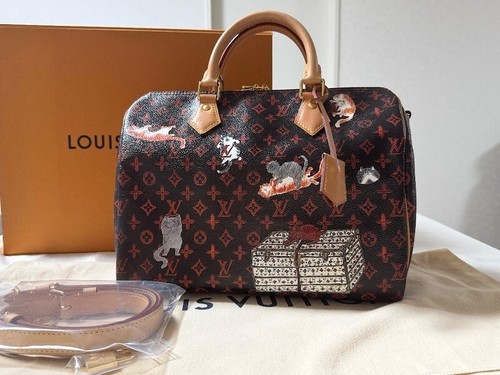 LOUIS VUITTON Catgram Speedy 30 Bag M44401 Grace Coddington Crossbody Auth Mint - Picture 2 of 12