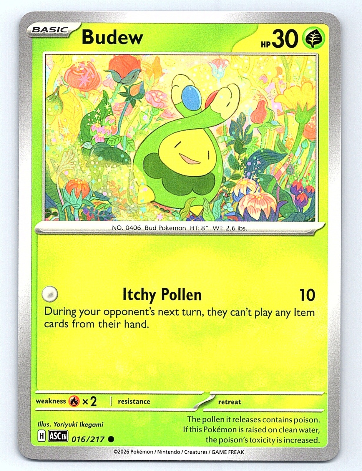 Budew Normal Common ME: Ascended Heroes 016/217 NM