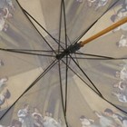 Bild 7 von 9