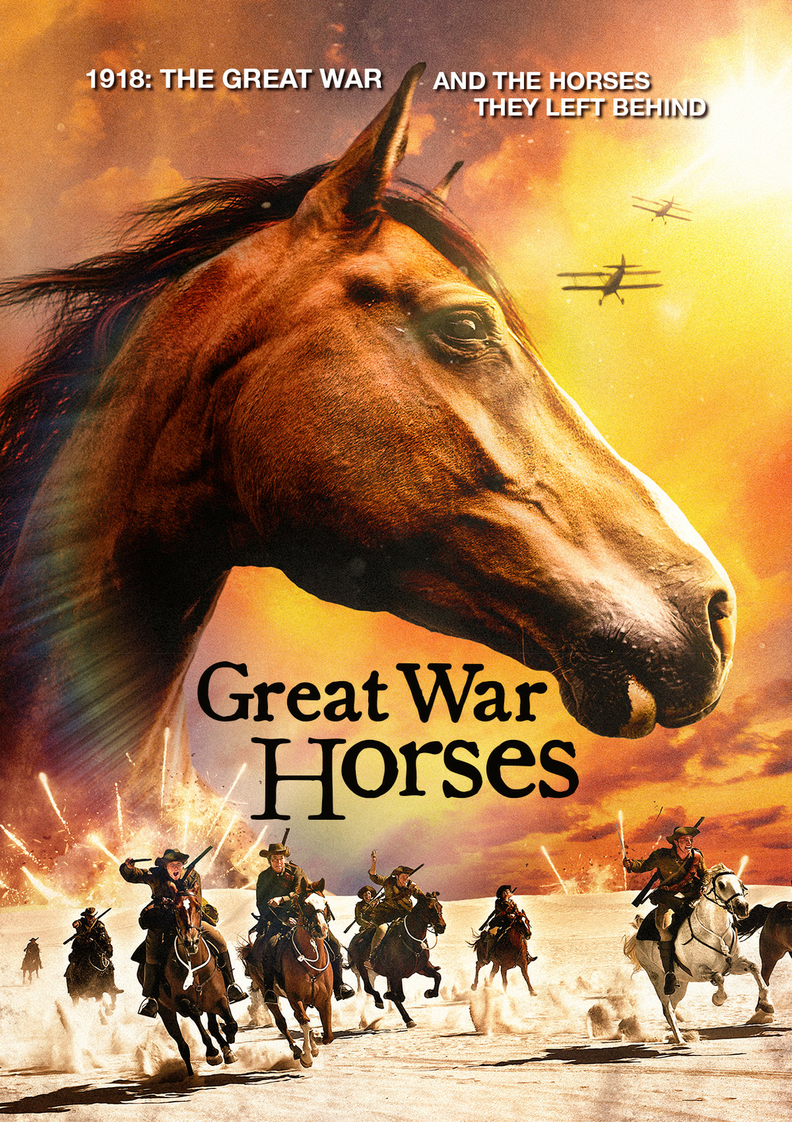 Great War Horses (The Fate of 1918) 2015 DVD