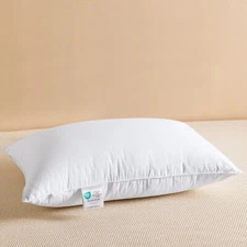 Soft Goose Feather Down Pillow for Sleeping,Luxury Goose Feather (White,20"X26")