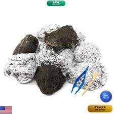 Pelletpal Premium Barn Owl Pellets Large Pack Of 10 - Id Chart 10 Forceps