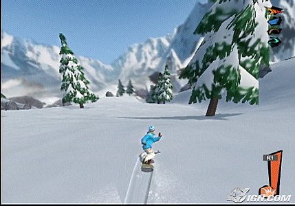 Shaun White Snowboarding (Sony PlayStation 2, 2008)