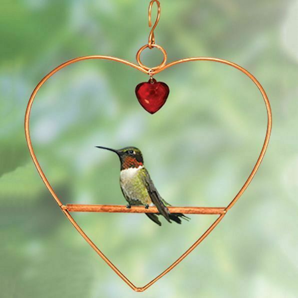 Songbird Essentials Hummingbird Swing - Thumbnail 3
