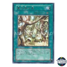 Secret Village of the Spellcasters P-N SSB1-JP036 SECRET SHINY BOX Yu-Gi-Oh! JP