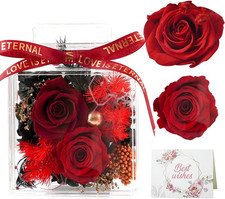 Preserved Rose Gifts for Women Fresh Flowers in Acrylic Box Flowers for Delivery