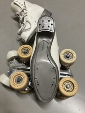 Risport RF4 245 mit Rollschuhe Gestell STD Master 14 (montiert)