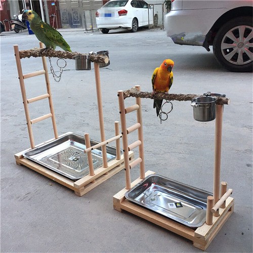 parrot stand wood