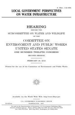 Local Government Perspectives on Water Infrastructure